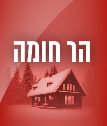 כפתורים אתר-09