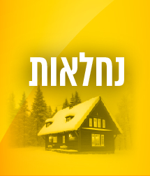 כפתורים אתר-11